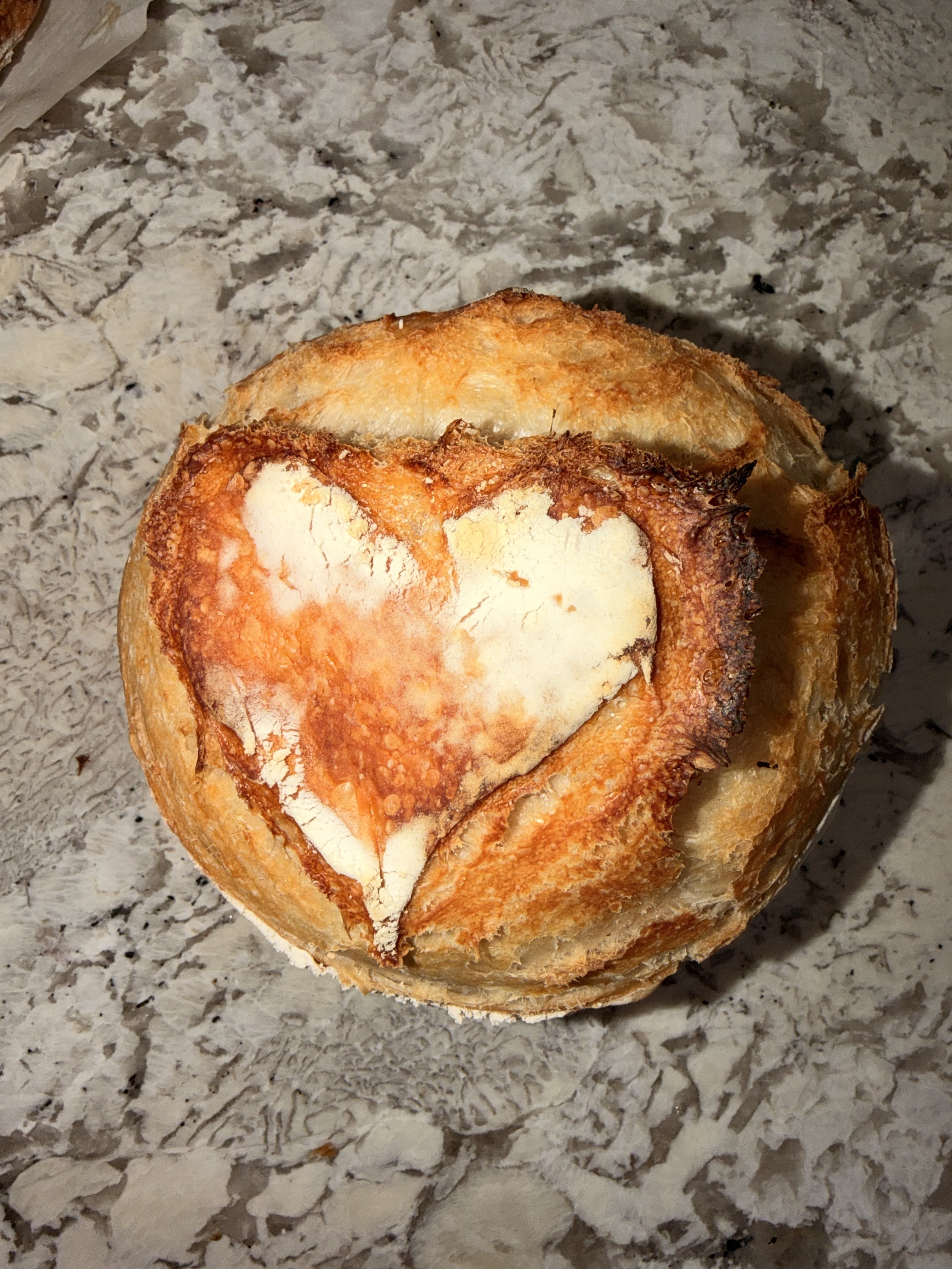 Plain Mini Sourdough Loaf 