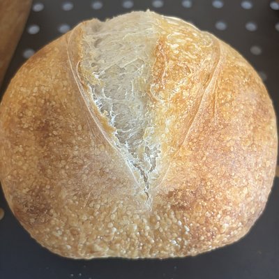 Classic Sourdough Medium 