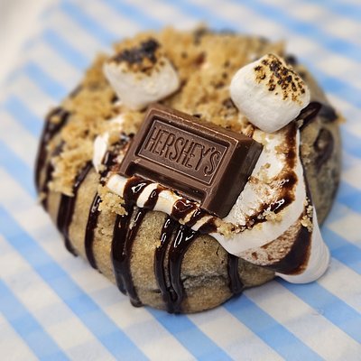 Stuffed Campfire S'MORES (6-Pack)