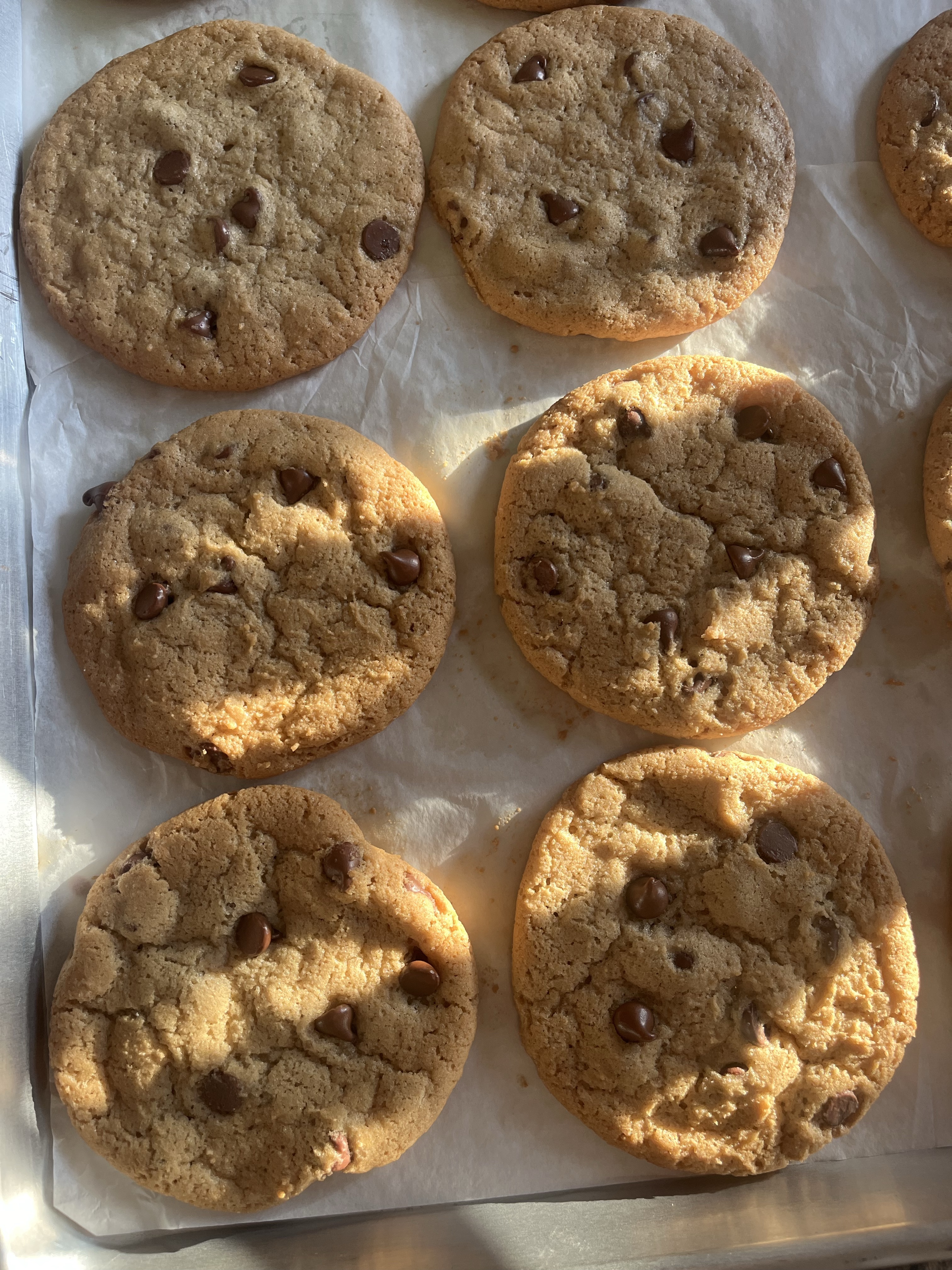 Chocolate Chip 