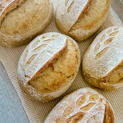 Sydney’s Sourdough Bundle