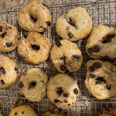 Chocolate Chip Sourdough Bagels
