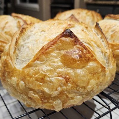 Tangy/Sour Sourdough Boule