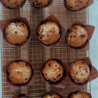 Chocolate Chip Muffins