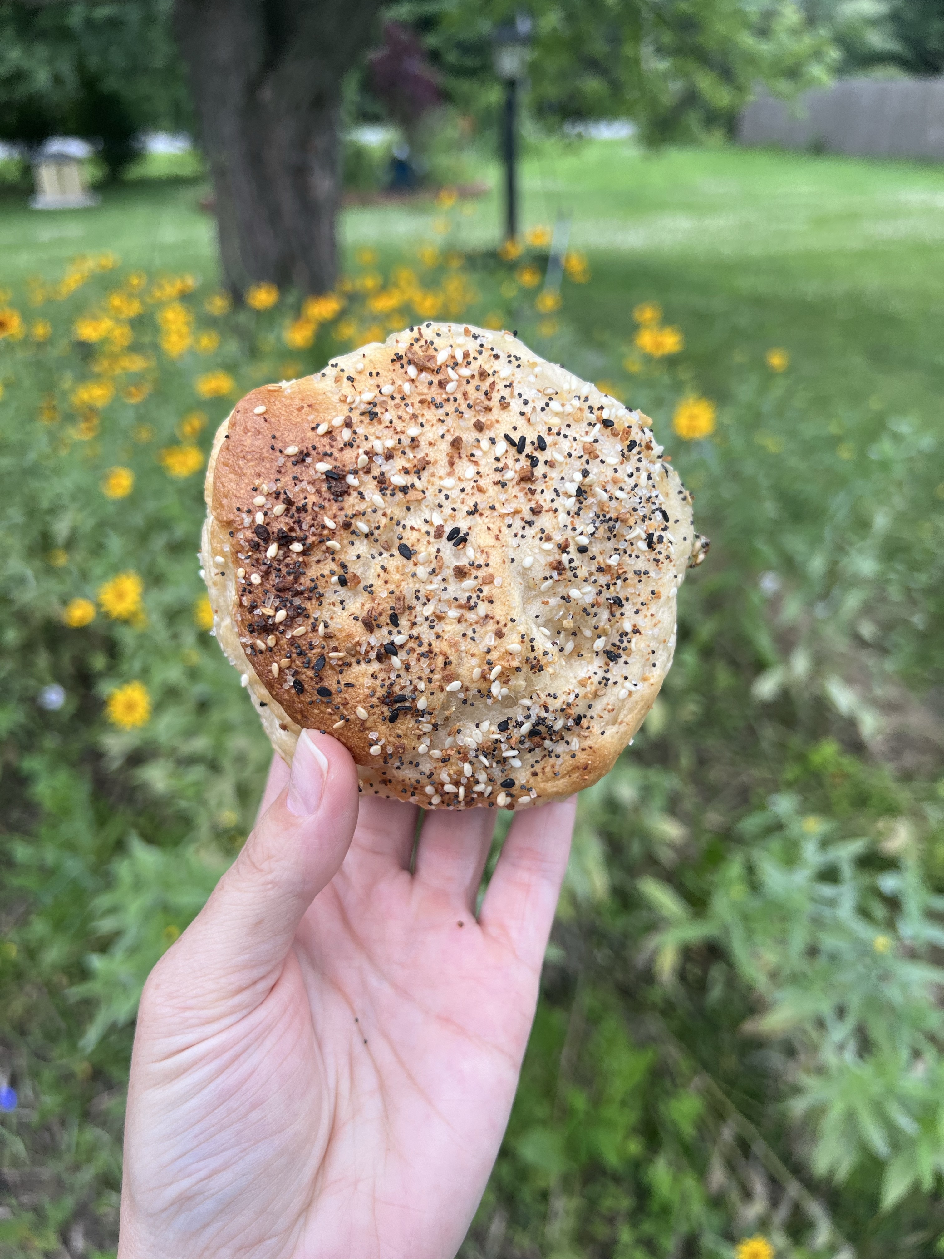 EVERYTHING Sourdough Bagels (6 bagels)