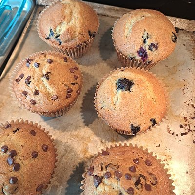 6 Pack Muffins