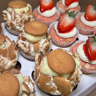 Gourmet JUMBO Cupcakes 