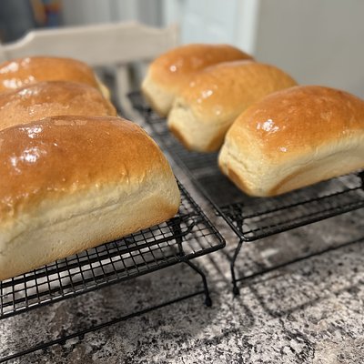 Sourdough Sandwich Loaf