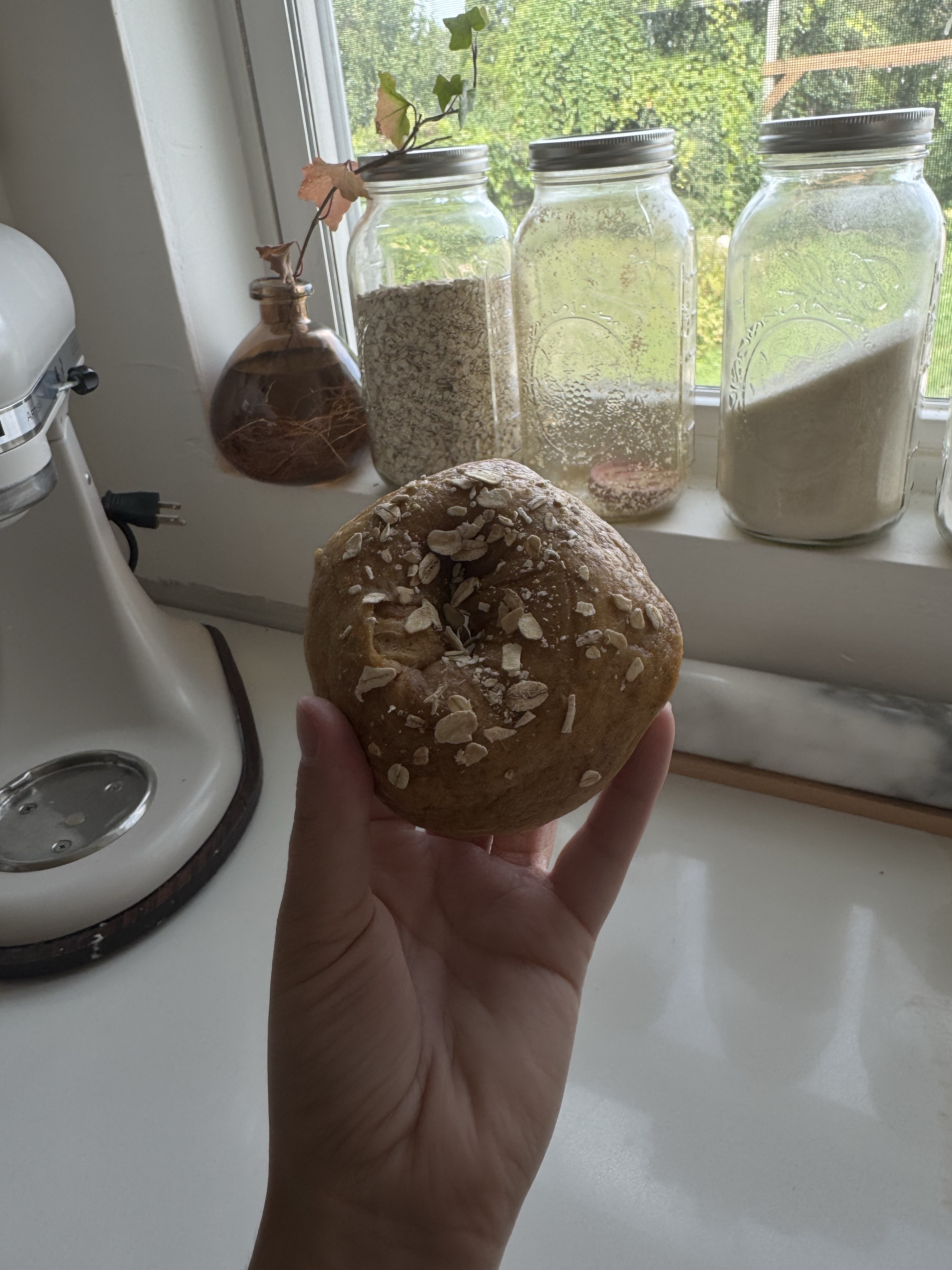 PUMPKIN SOURDOUGH BAGELS