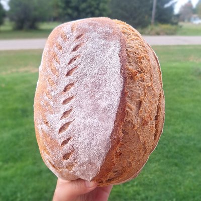 Yeast Sourdough 