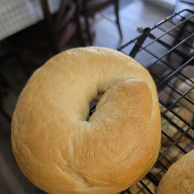 Plain Bagels