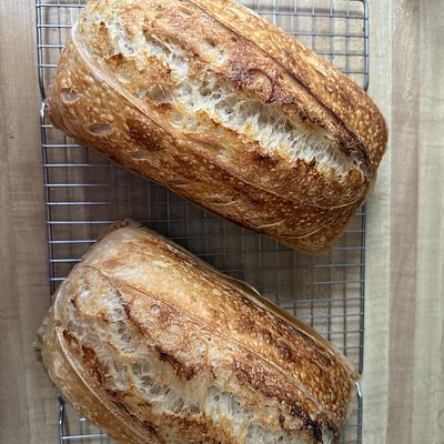 Traditional Sourdough Loaf