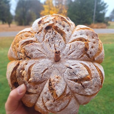 Bread Of The Month (Pumpkin Cranberry Pecan Sourdough) Lg Loaf 