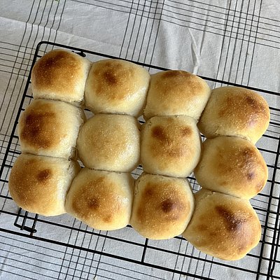 Soft Sourdough Dinner Rolls (1/2 Dozen)