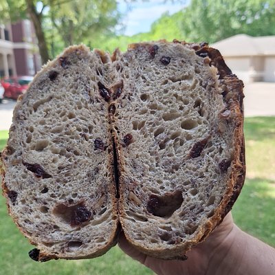 Organic Flour Sourdough Bread With Walnut and Cranberry 