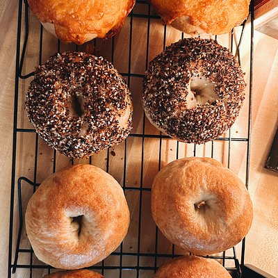 8 Pack Assortment of Bagels