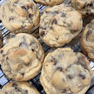 12 Pack Choco Chip Cookies 