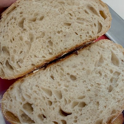 Masa Madre