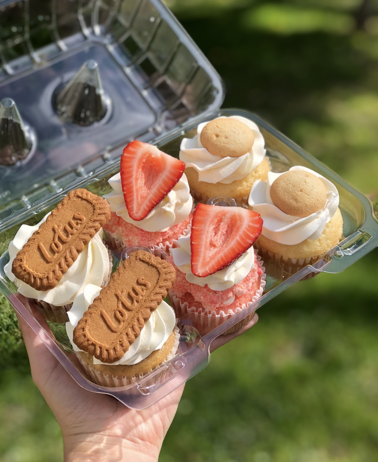 Cupcakes
