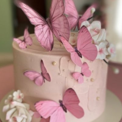 Flowers & Butterflies 