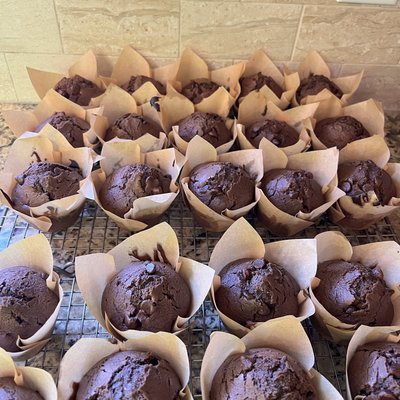 Chocolate Chocolate Chip Sourdough Muffins