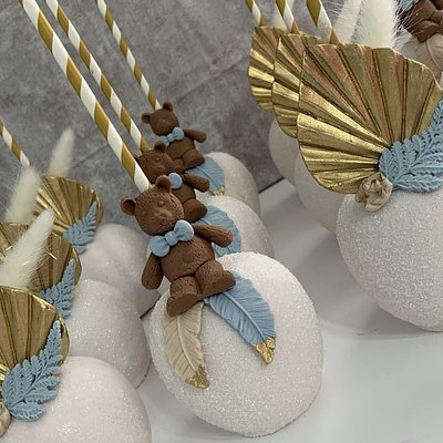 Chocolate Covered Gourmet Apples 