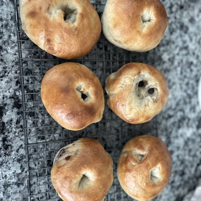 Plain Bagels-6 Ct. 