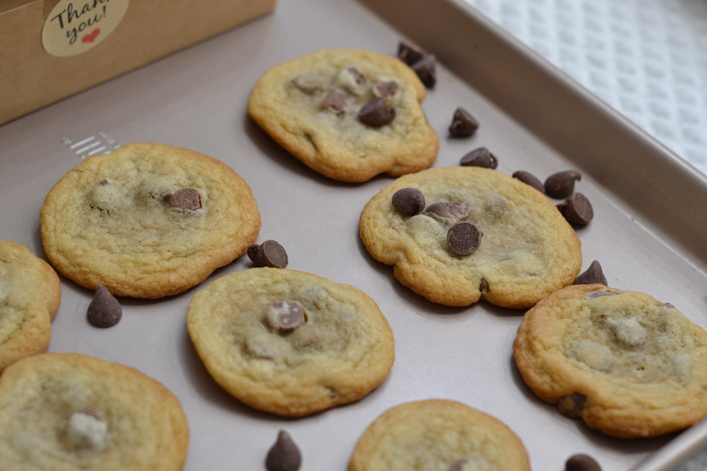 Chocolate Chip Cookie