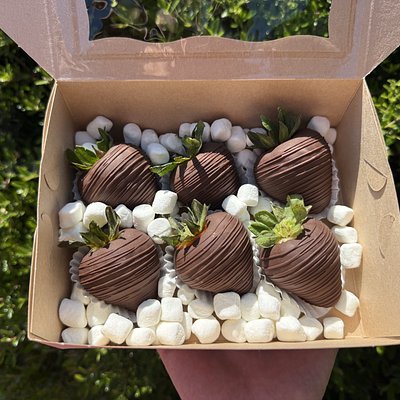 Half Dozen Chocolate Covered Strawberries 