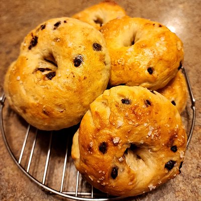 Sea Salt Chocolate Chip Bagels