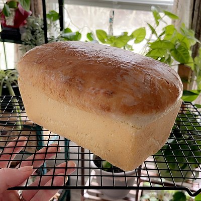 Sourdough Sandwich Loaf