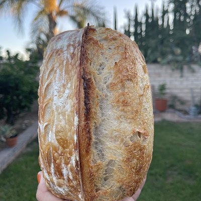 Classic Loaf