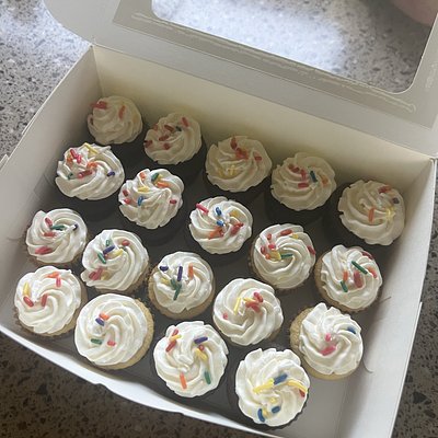 Mini Cupcakes (1 Dozen)