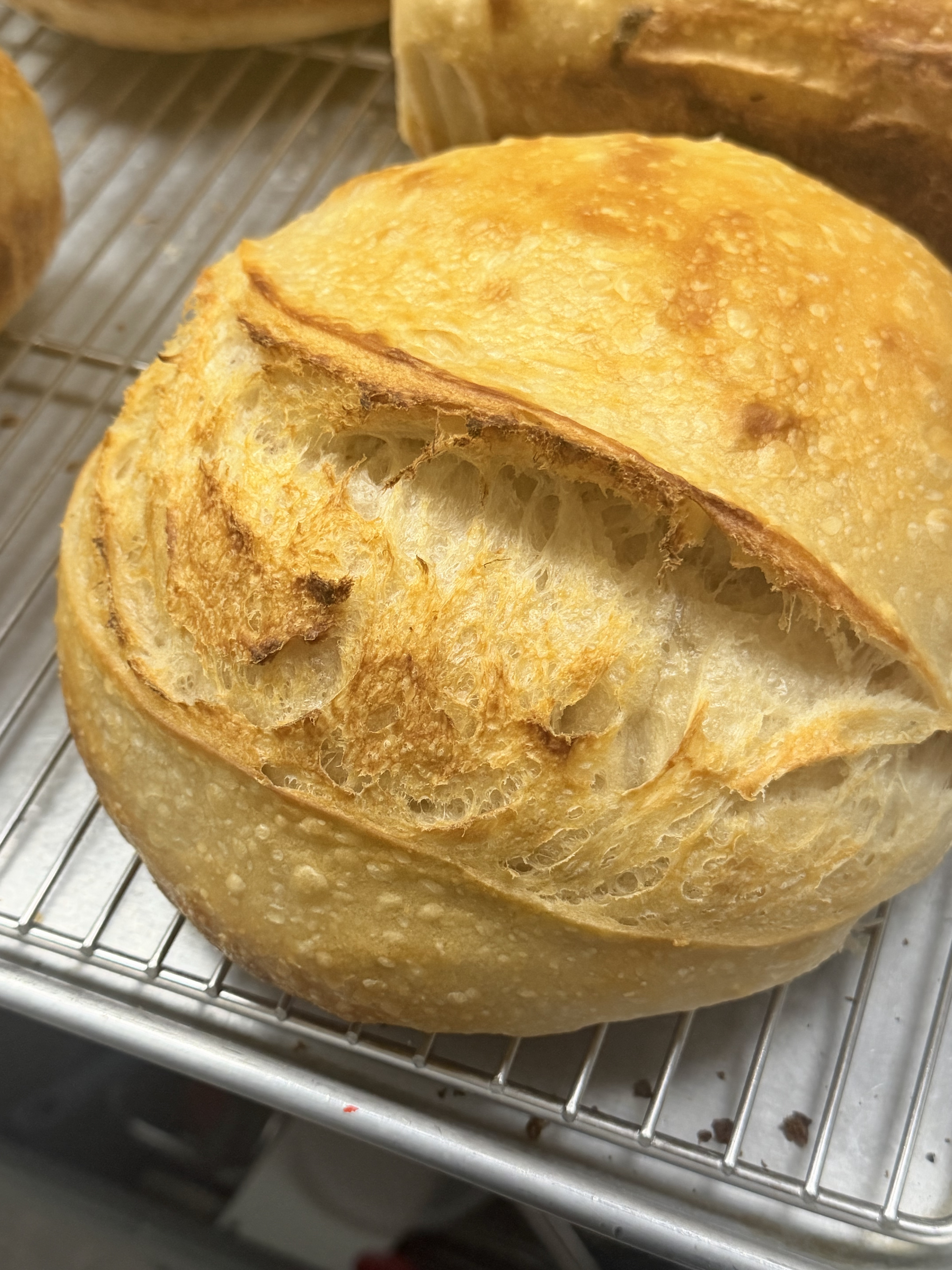 Plain sourdough loaf