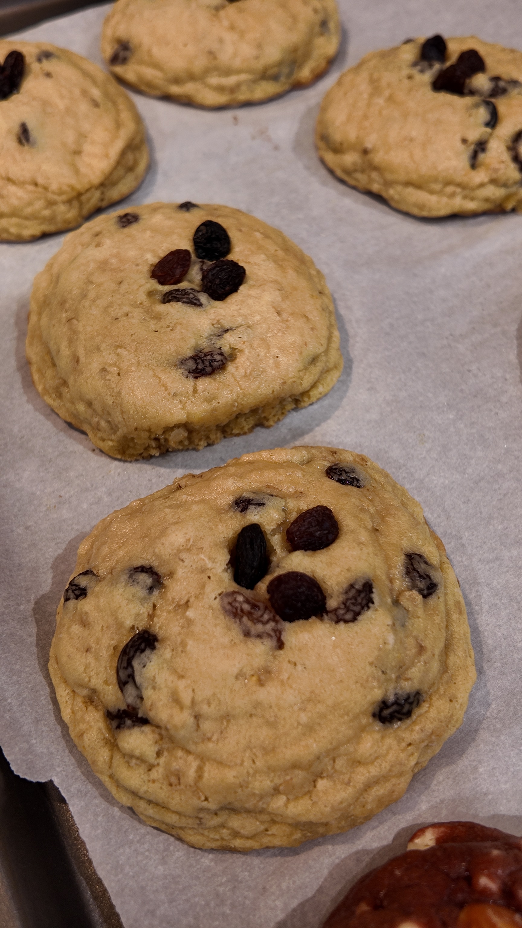 Oat raisin cookies 