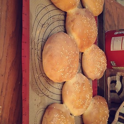 Sesame Seed Hamburger Bun