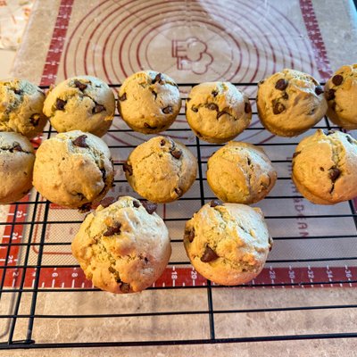 Sourdough Discard Chocolate Chip Muffins - Dozen