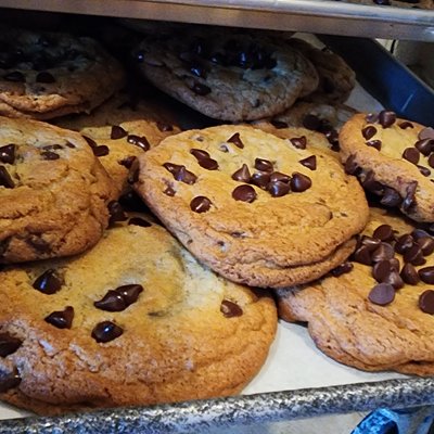 Chocolate Chip Cookie