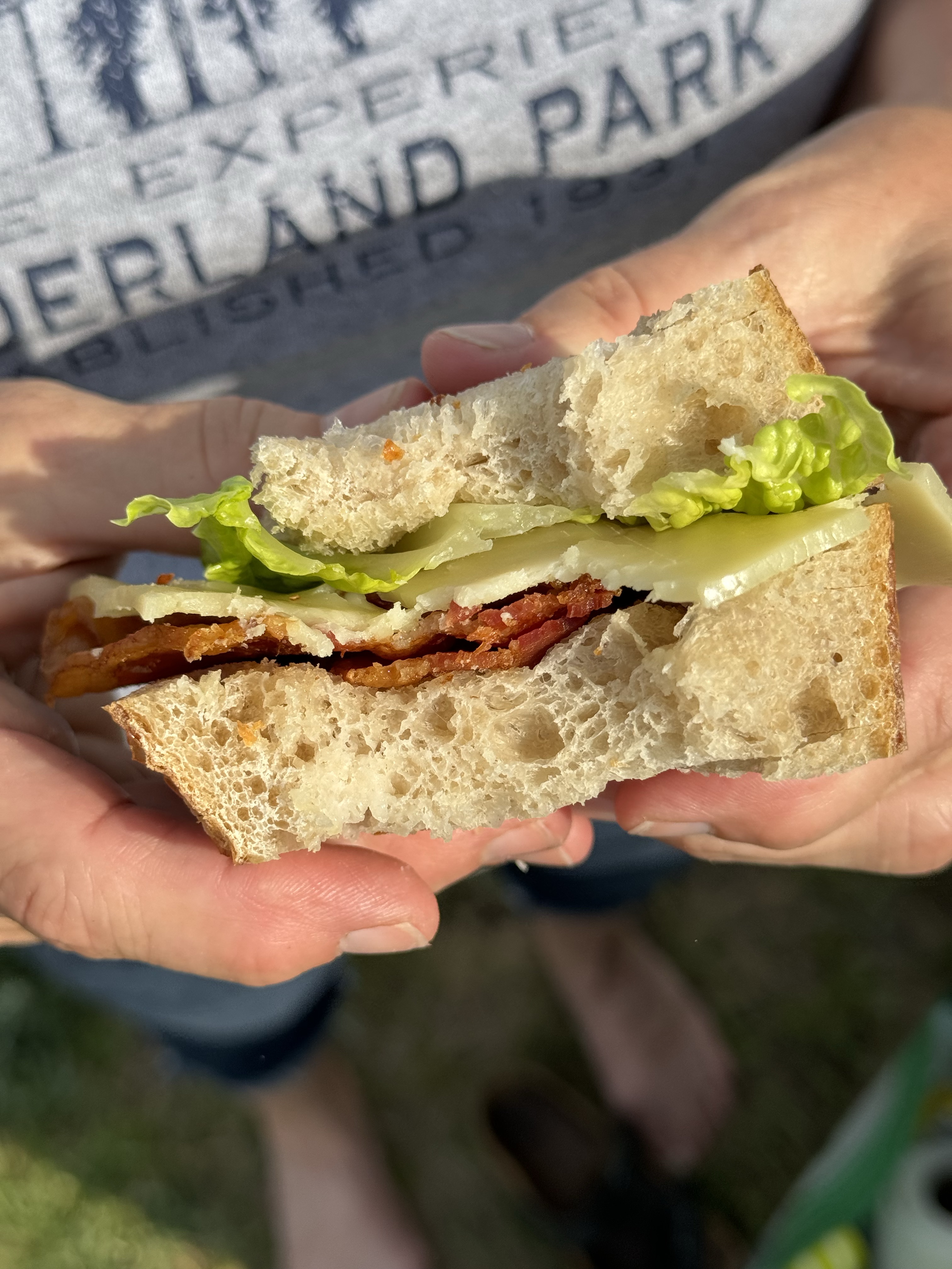 Sandwich Loaf