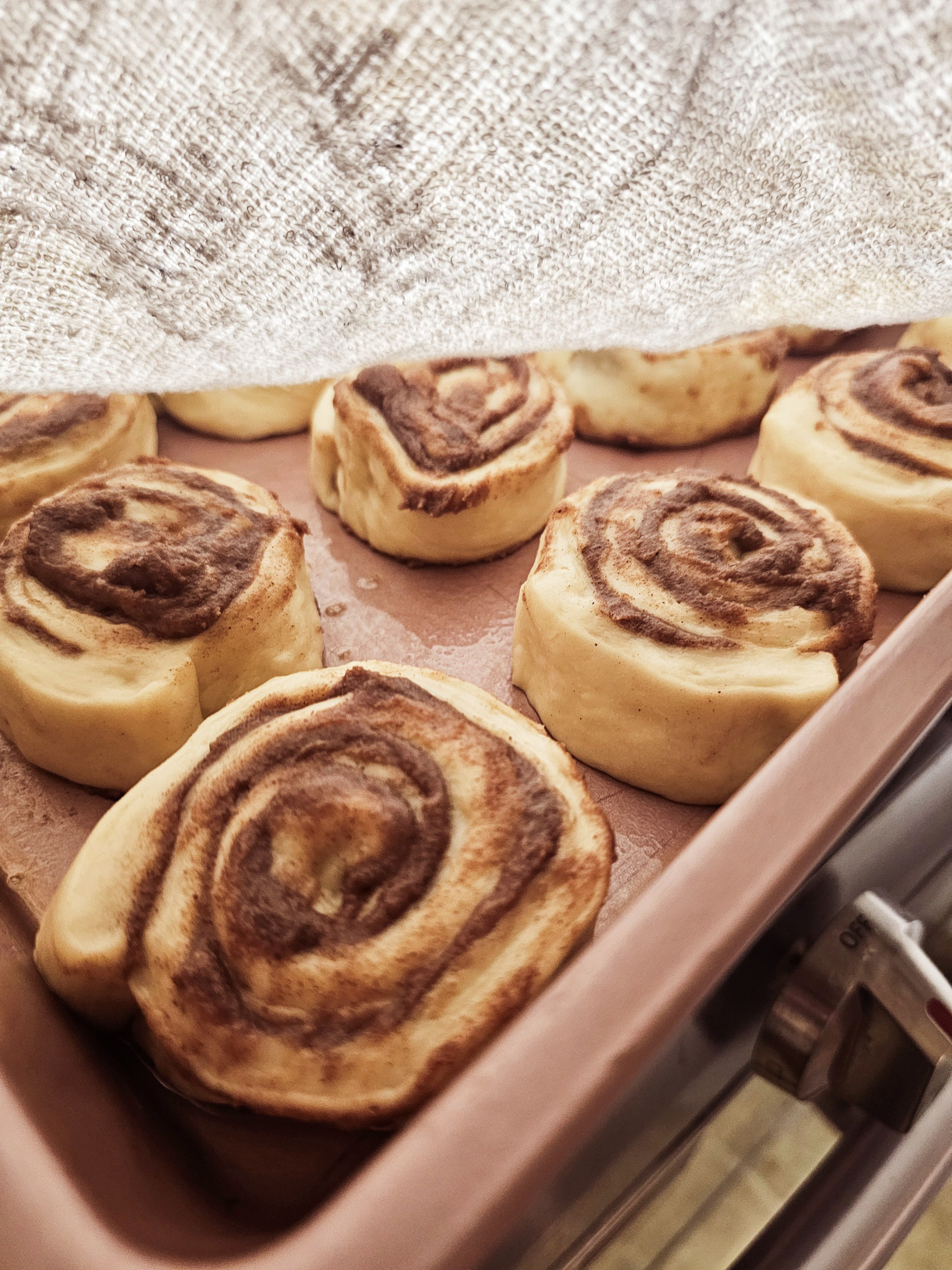 Sourdough Cinnamon Rolls  Dozen