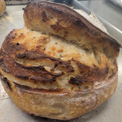 Cheddar & Chive Sourdough Loaf