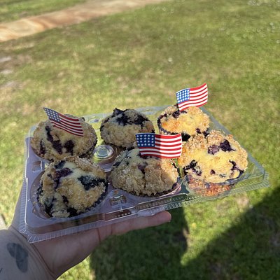 Blueberry Muffins 6 Pack