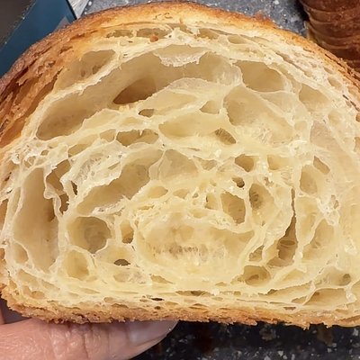 Plain Croissants 