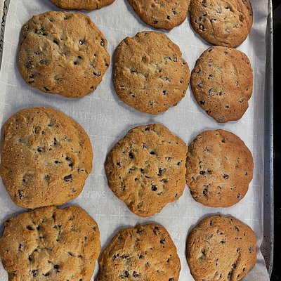 Sugar Free Gluten Free Chocolate Chip Cookies 