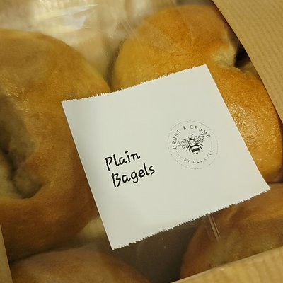 Plain Bagels (8)