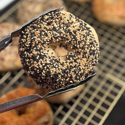 Sourdough Sesame Bagel •6•