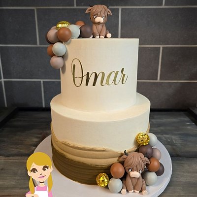 2 Tier Custom Cake Order