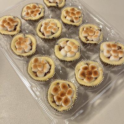 2 Dozen S’mores Mini Cheesecake