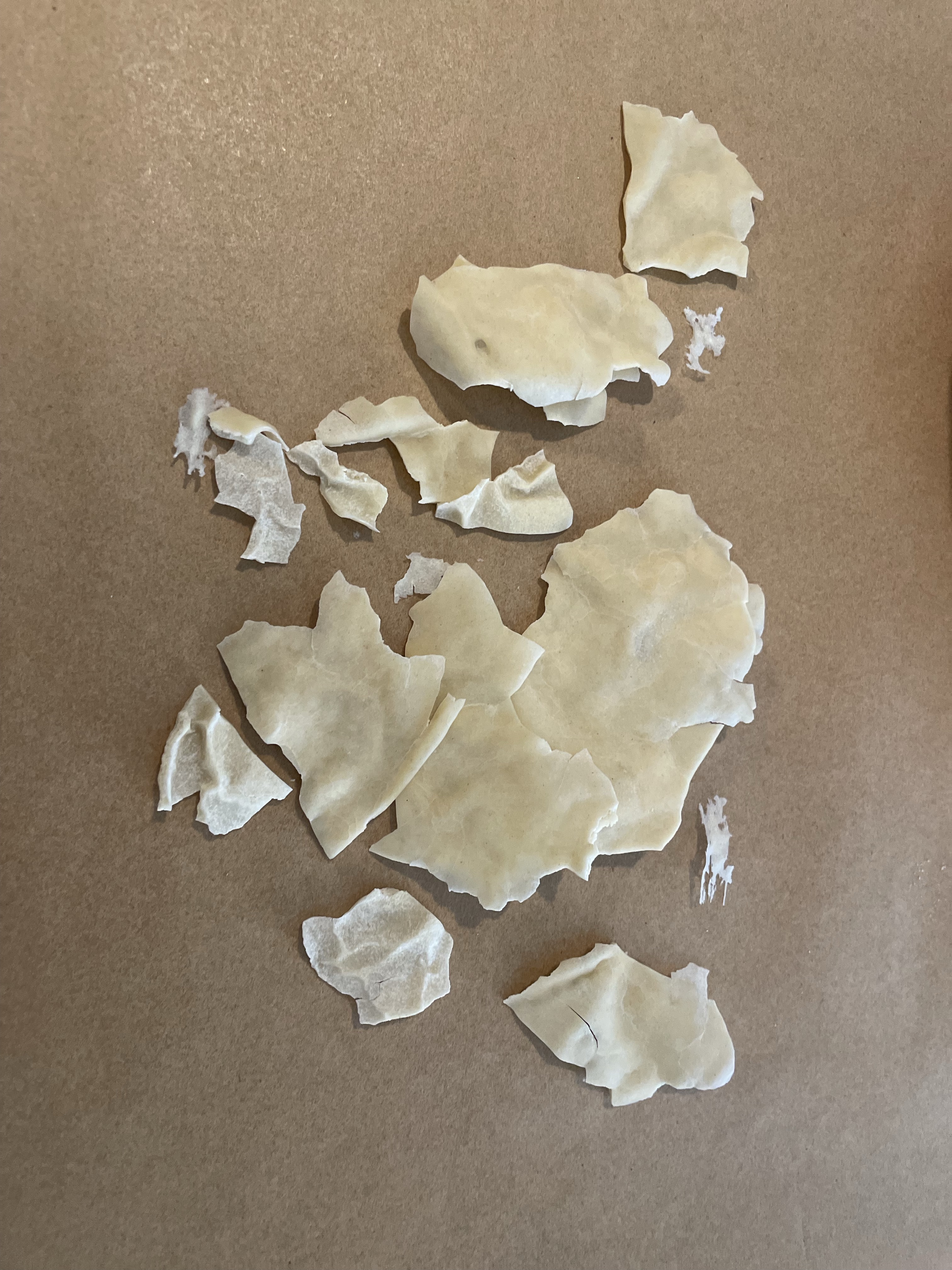 Dehydrated Sourdough Starter