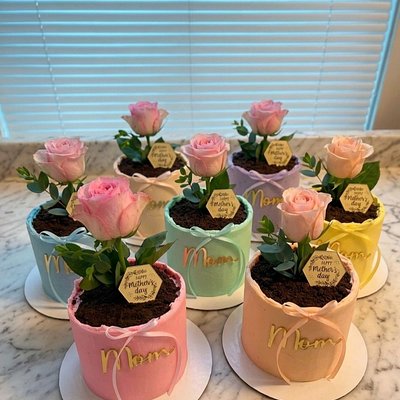 Flower pot cakes💐🪴